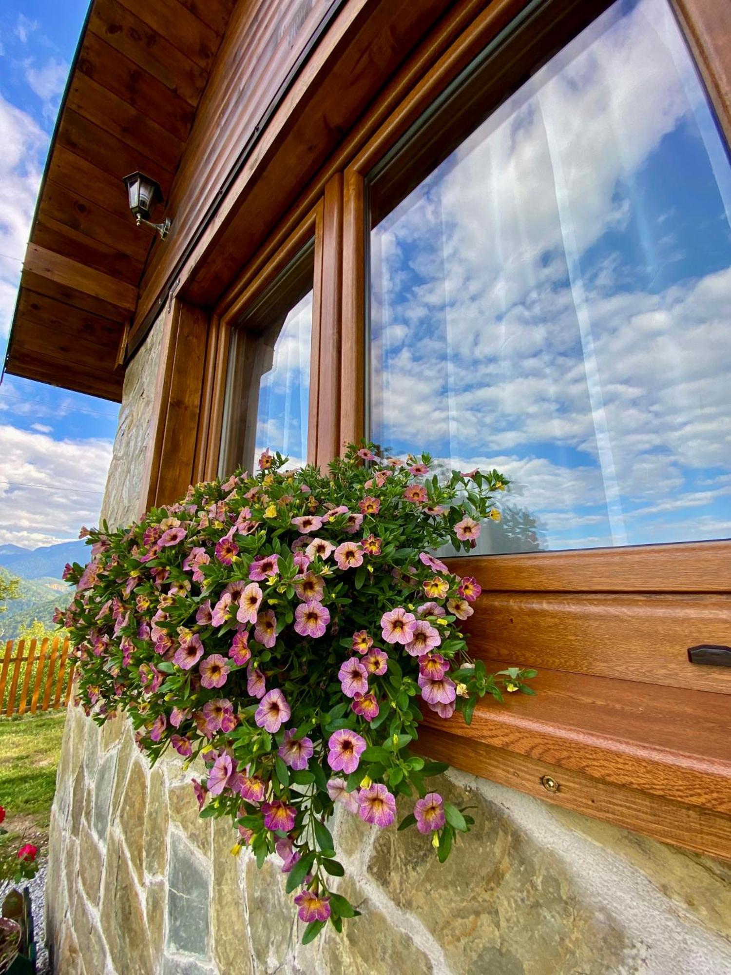 Mountain Star House Villa Mojkovac Exterior photo